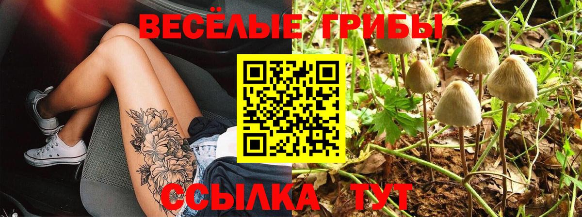 Псилоцибиновые грибы мицелий Горно-Алтайск