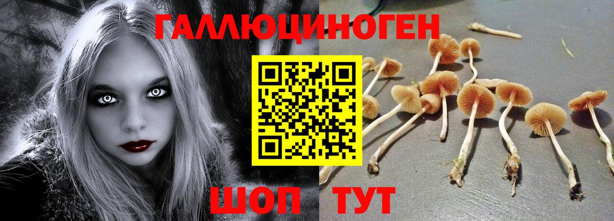 Галлюциногенные грибы мицелий  Псилоцибиновые грибы MAGIC MUSHROOMS  Вход с VPN  Горно-Алтайск 